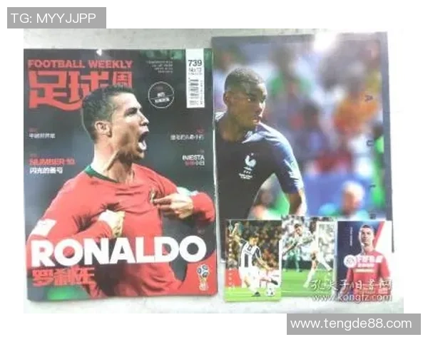 帕尼尼足球球星卡全景回顾与珍藏价值分析