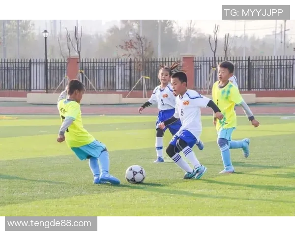 拖把头足球星逆袭绿茵赛场从默默无闻到世界焦点的励志传奇